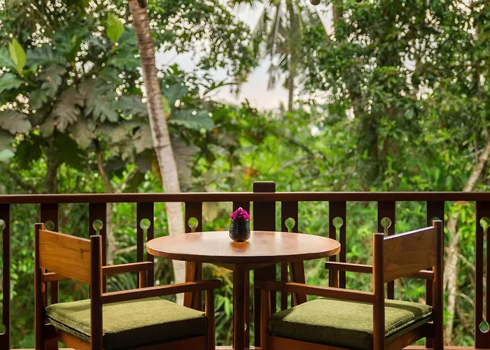 Beehouse Dijiwa Ubud