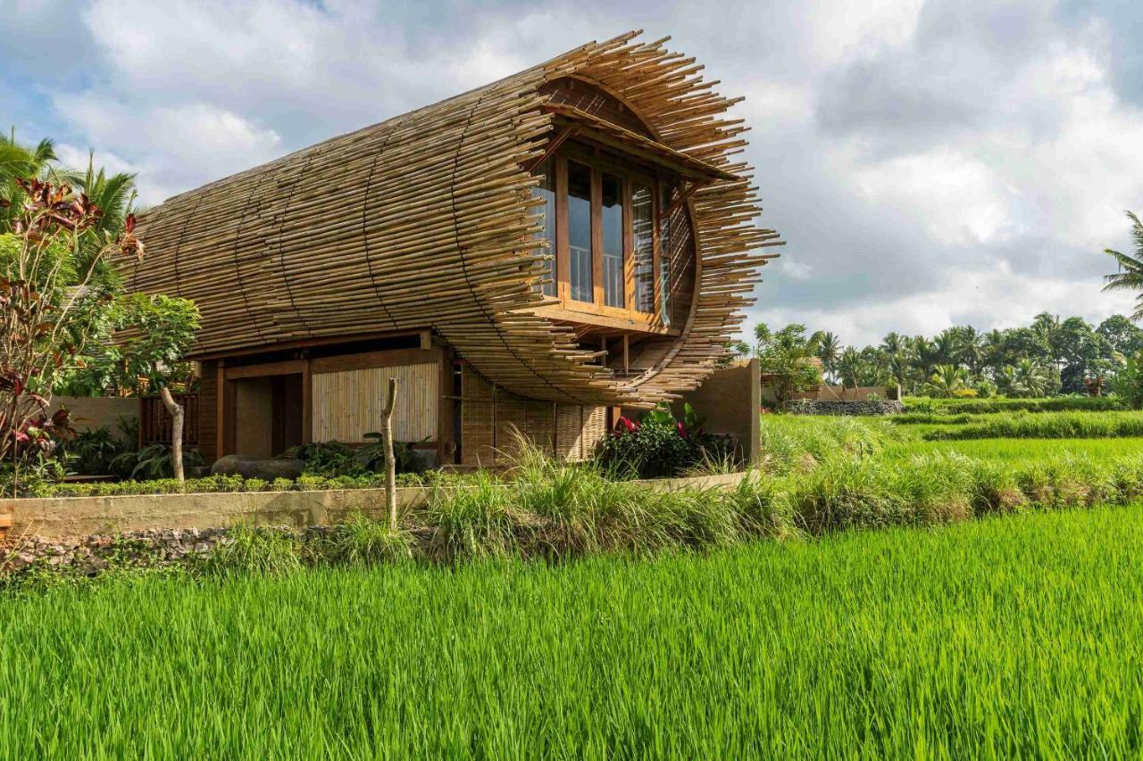 Beehouse Dijiwa
