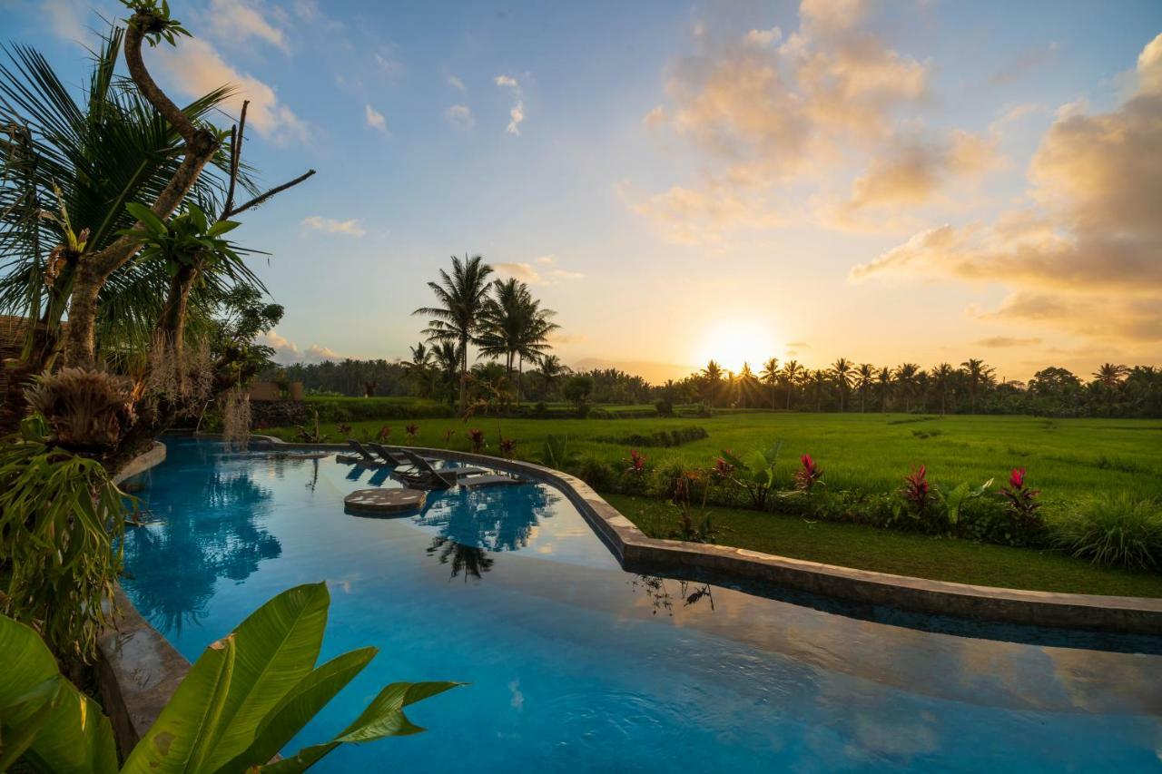 Villa Beehouse Dijiwa Ubud (Bali)
